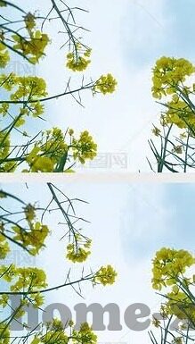 91视大象传媒-91视大象传媒，数字时代的文化传播新视角