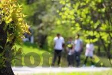 成人免免费费视频-成人免费视频，信息时代的双刃剑