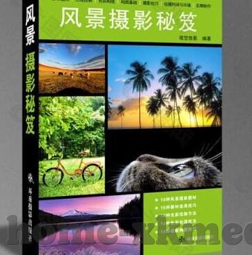 大象传媒免费看短视频-探索大象传媒，免费短视频的魅力与边界