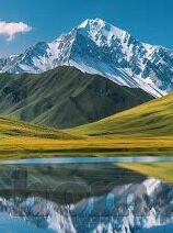 精品人妻一区二区三区四区在线-品味生活之韵，探索网络世界的温馨角落