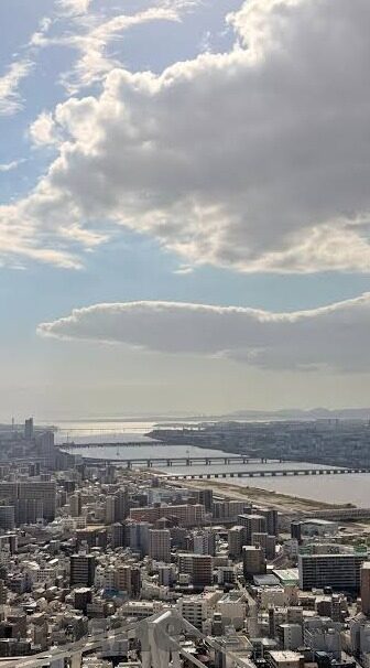 麻豆阿宾在线视频-麻豆阿宾的在线影响，当网络文化与个人选集碰撞的火花