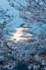 麻豆传媒是什么-麻豆传媒，数字媒体新时代的网络奇景