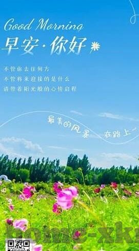 免费91麻豆-探索网路世界的多元边界，免费91麻豆的争议与思考