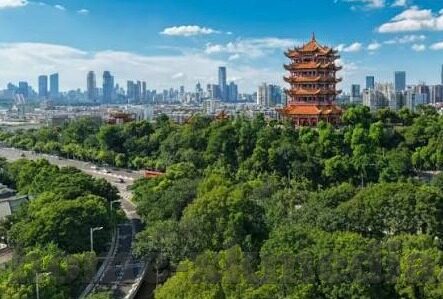 蜜臀av午夜一区二区三区麻豆-夜之角落，探索网络文化与创意交汇之处