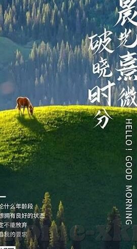 秋霞电影网韩国伦理在线-秋霞电影网，韩国伦理电影的多元视角与文化探索